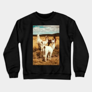 Savana alpaca Crewneck Sweatshirt